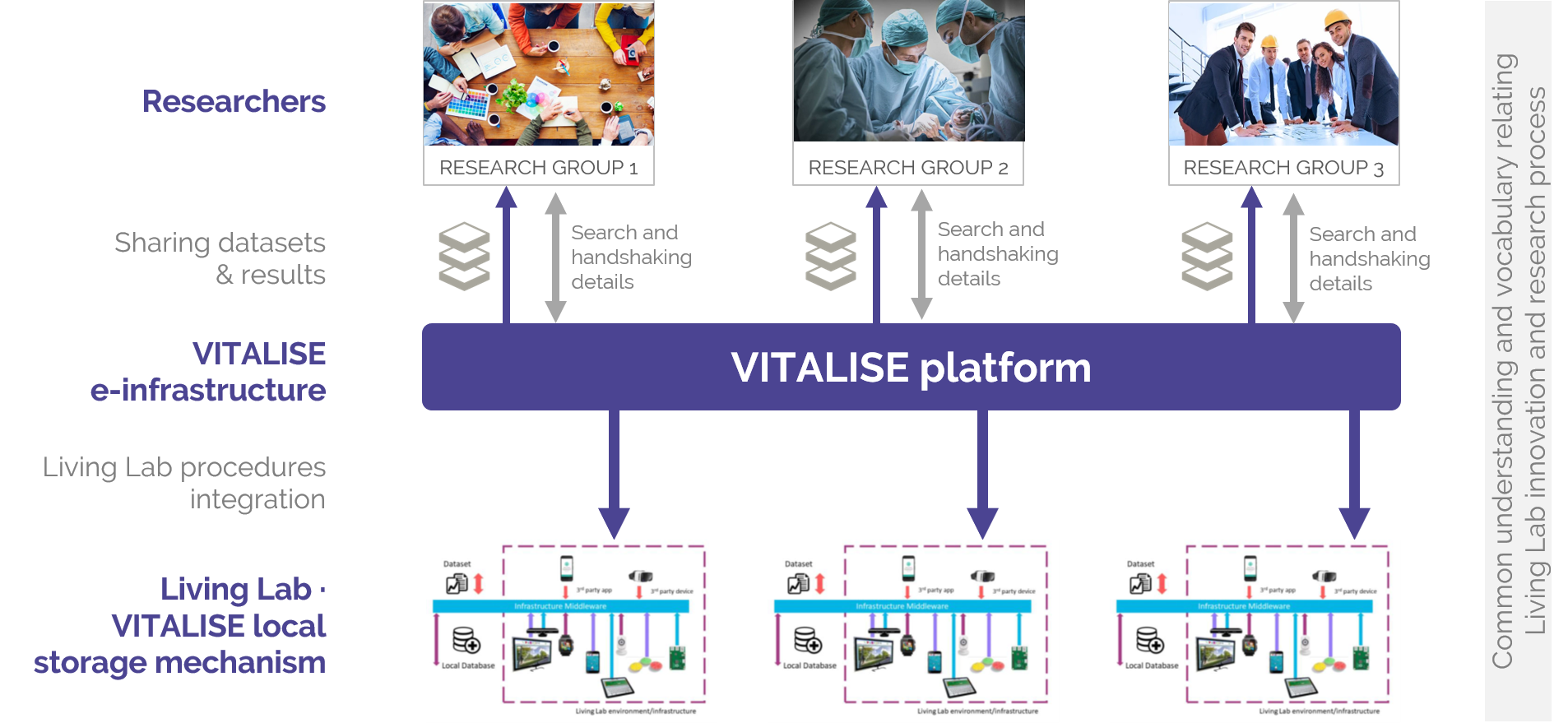 VITALISE IMAGEN 01